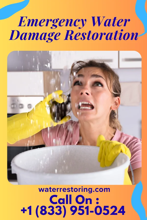 Emergency Water Damage Restoration in Vina, AL